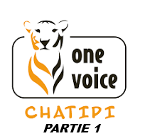 Chatipi à PLESSÉ : un abri solidaire pour les chats errants à côté de l’EHPAD